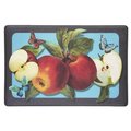 Achim Importing Achim Importing ANFTMGLD12 18 x 30 in. Golden Delicious Anti Fatigue Mat ANFTMGLD12